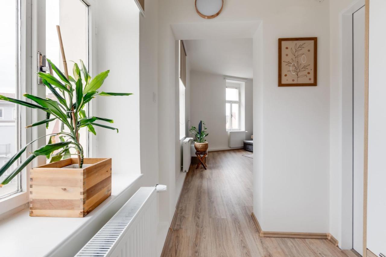 Modern, Bright And Spacious Apartment Praha Exteriér fotografie