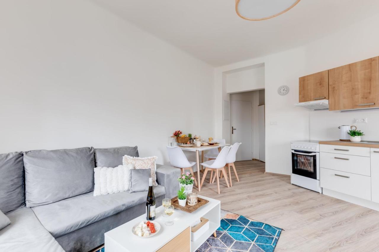Modern, Bright And Spacious Apartment Praha Exteriér fotografie